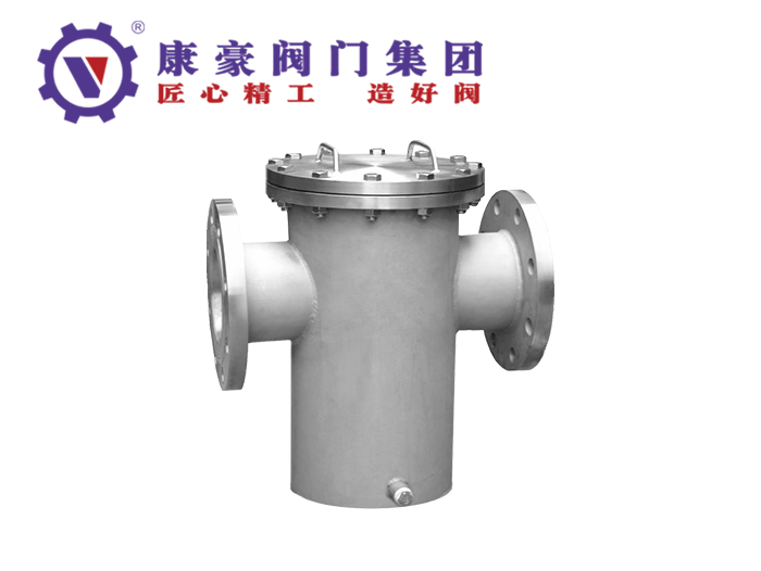 不銹鋼藍(lán)式直通過(guò)濾器