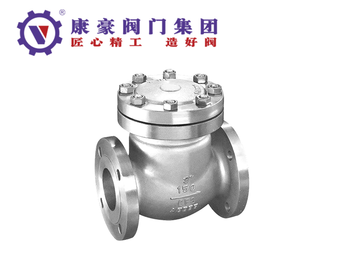 美標不銹鋼旋啟式止回閥